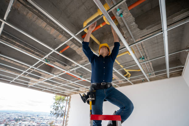 Best 24-Hour Plumber Near Me  in Montrose, MI