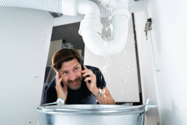 Best Drain Cleaning Services  in Montrose, MI
