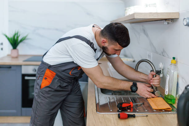 Best Toilet Repair Services  in Montrose, MI