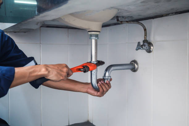 Best Residential Plumbing Services  in Montrose, MI