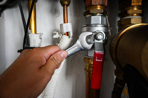 Best Local Plumber Services  in Montrose, MI